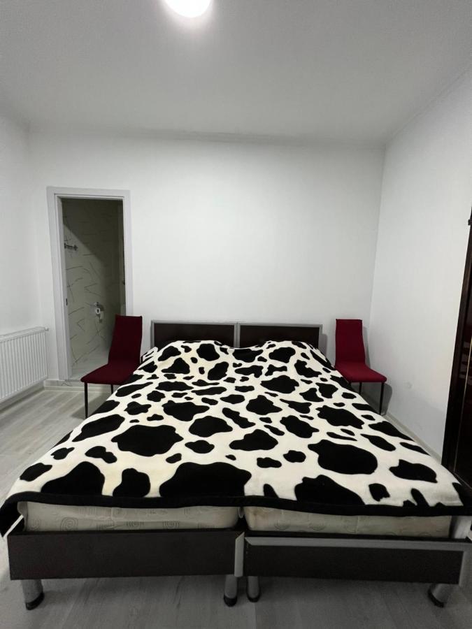 Guest House Lali Signagi Buitenkant foto